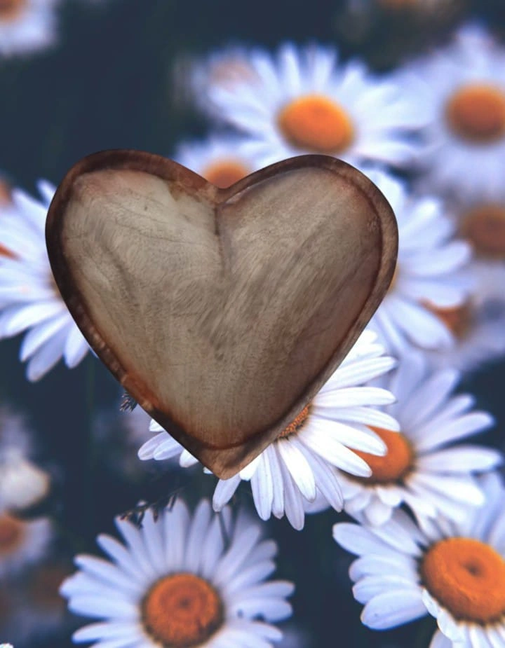 Heart 6 inch - Image 2