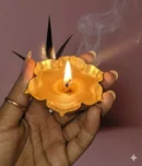 Lotus urli 3.5 inch