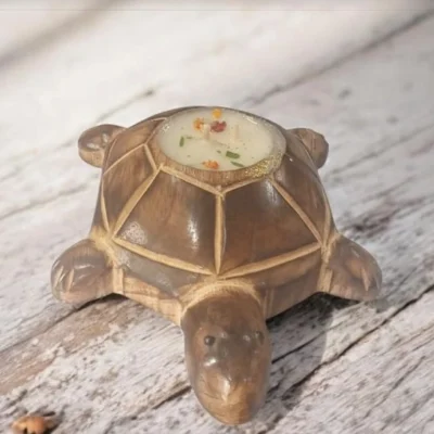 Ecoshell Turtle Candle