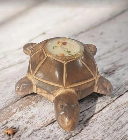 Ecoshell Turtle Candle