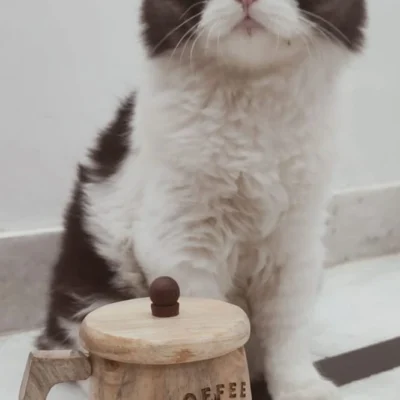 Coffee Mug
