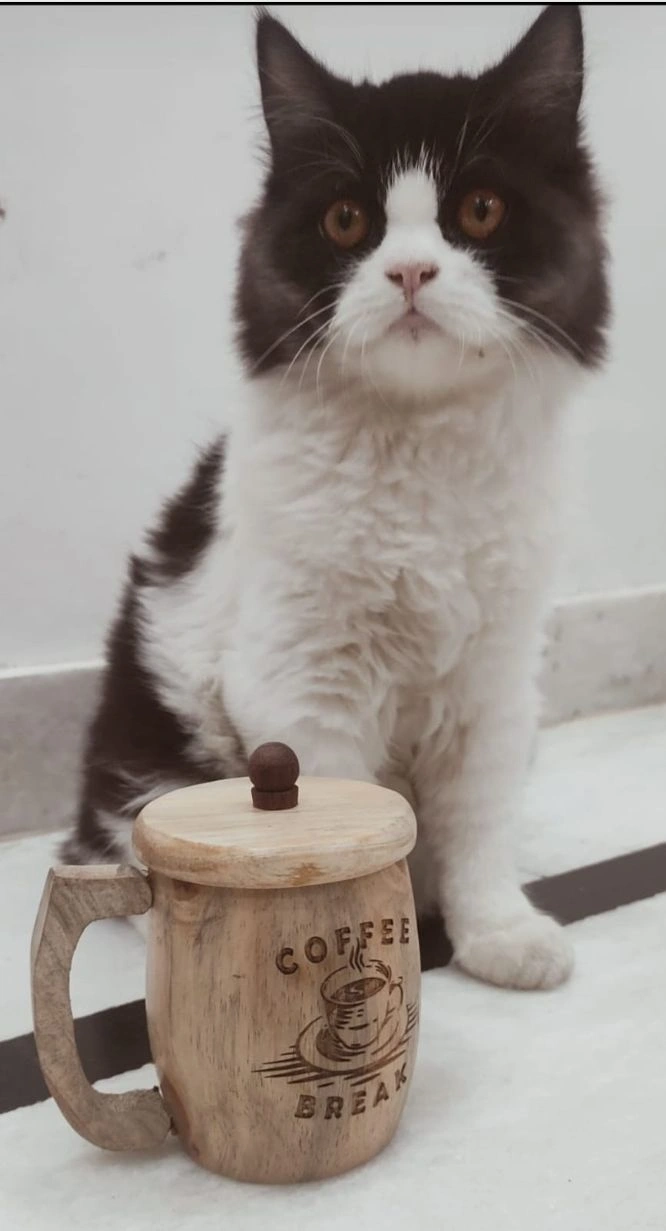 Coffee Mug