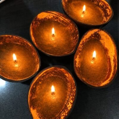 Coconut Shell set of 5 Glossy Oval